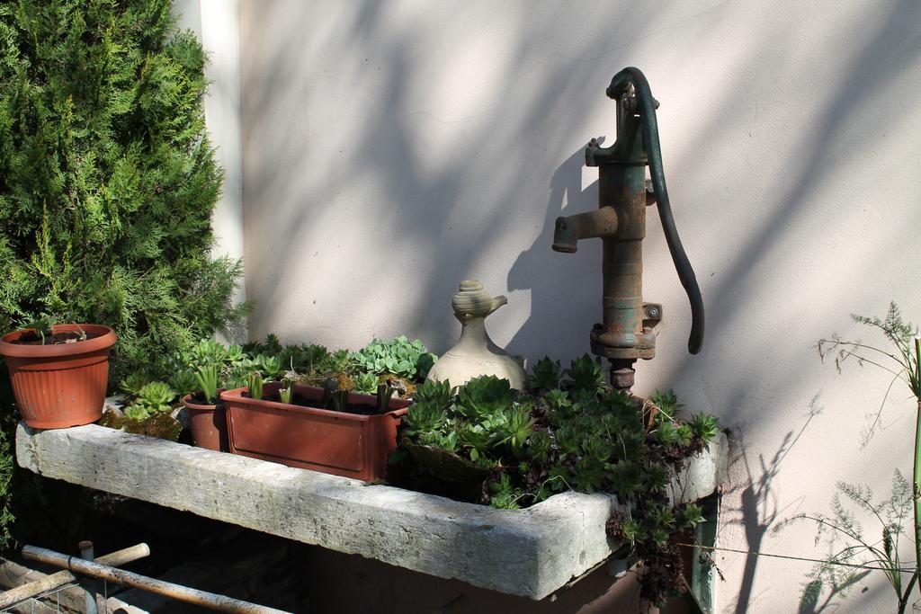 Agriturismo Le Clementine Badia Polesine Dış mekan fotoğraf