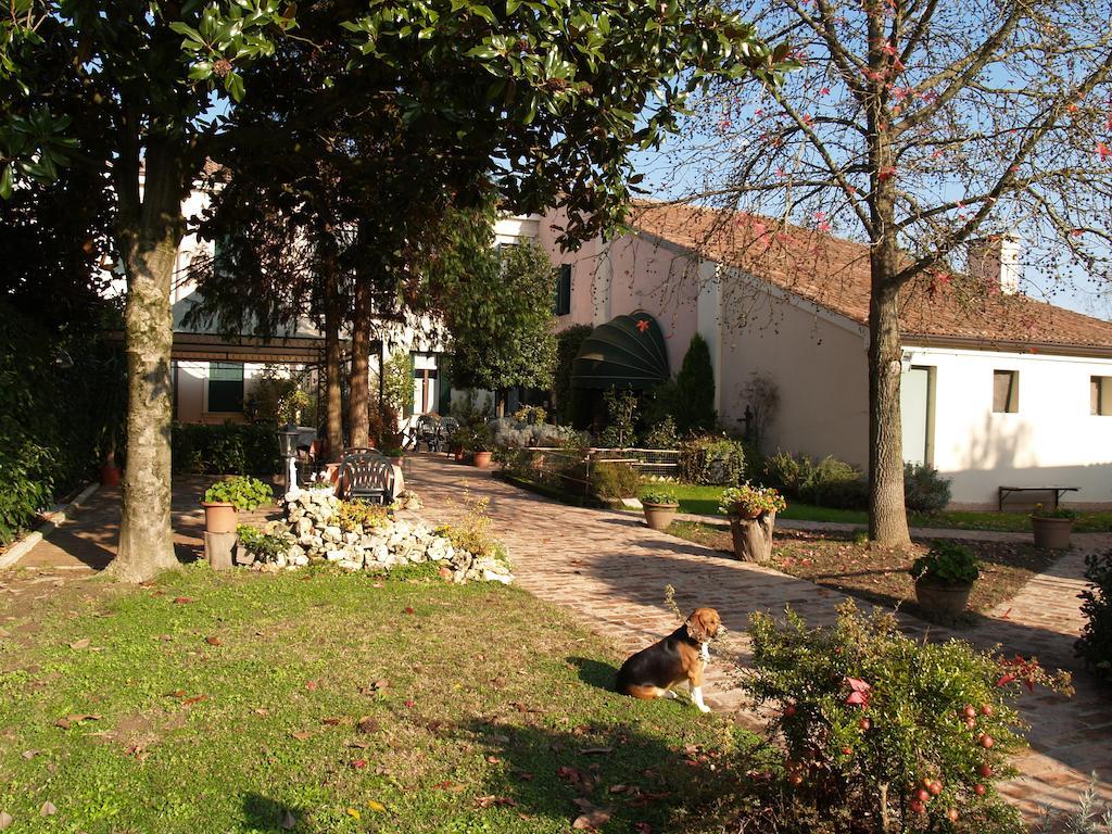Agriturismo Le Clementine Badia Polesine Dış mekan fotoğraf